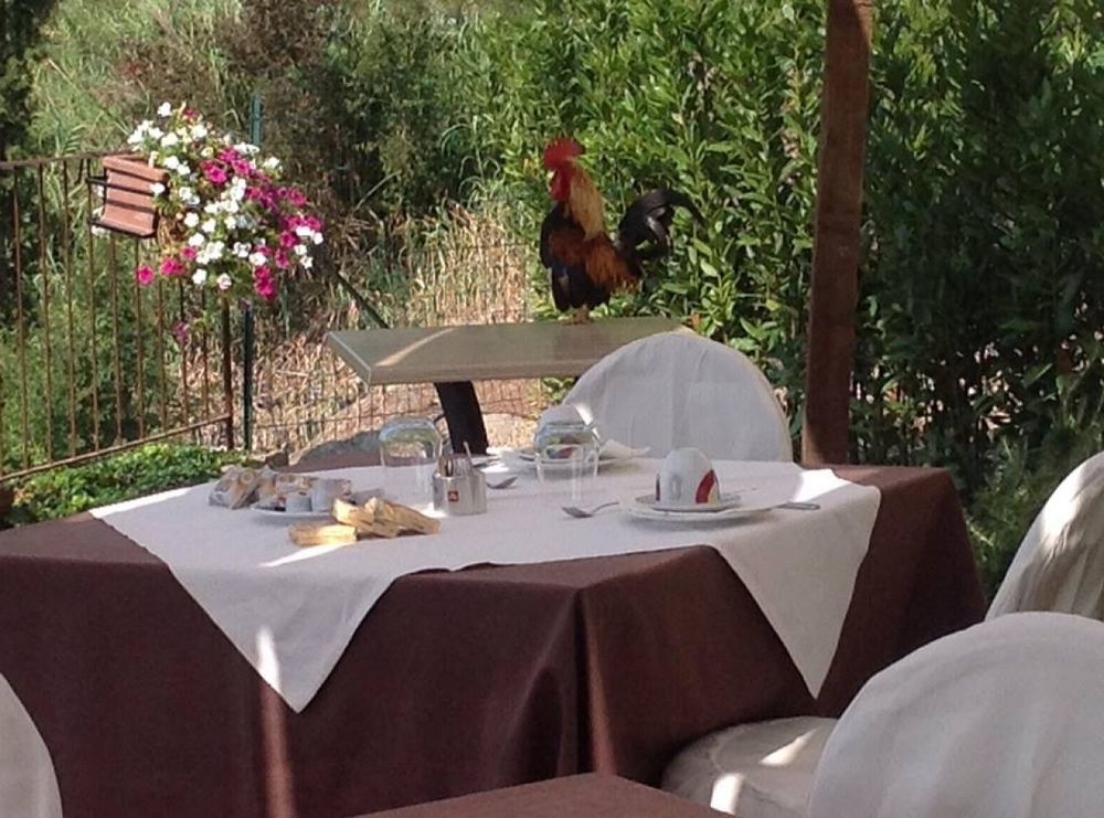 מוטספרטולי La Locanda Di Ortimino מראה חיצוני תמונה